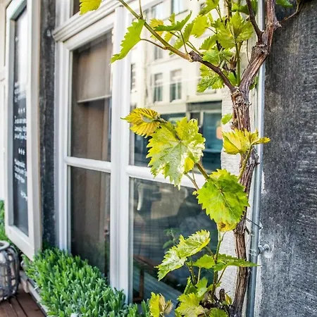 Gracht 62 Maastricht